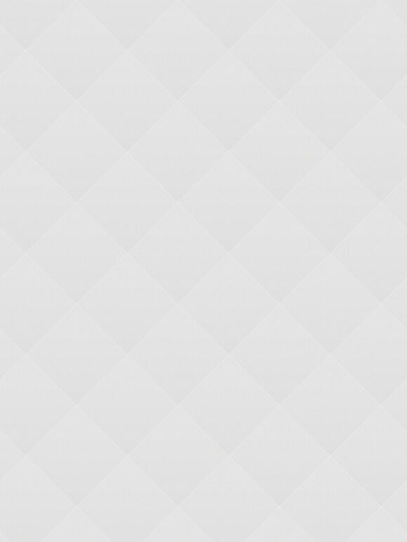 02 8 Steps to Build a Powerful Customer Database